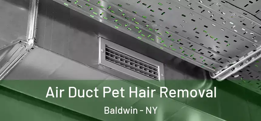 Air Duct Pet Hair Removal Baldwin - NY
