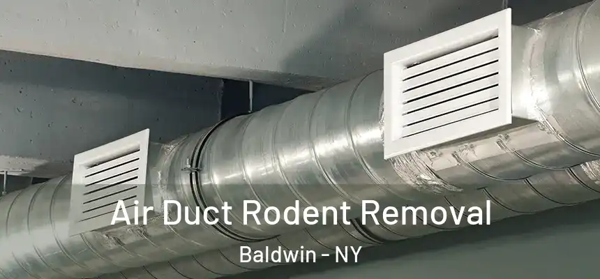 Air Duct Rodent Removal Baldwin - NY