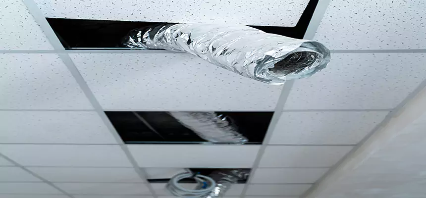 Our Air Duct Pet Hair Removal Services in Baldwin, NY