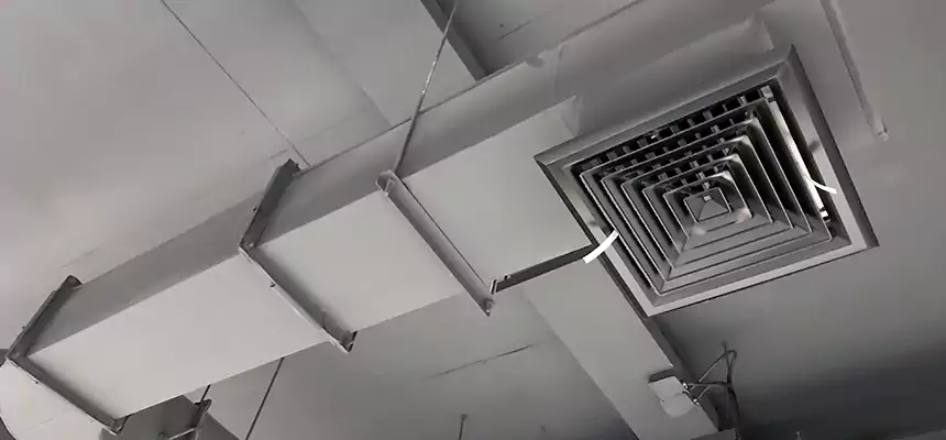 Our Pest Removal From Ducts Services in Baldwin, NY