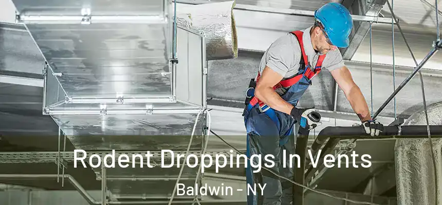  Rodent Droppings In Vents Baldwin - NY