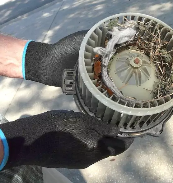 About Air Duct Rat Removal in Baldwin, NY