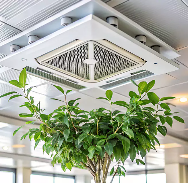 Why Homeowners & Businesses Trust Us in Baldwin, NY